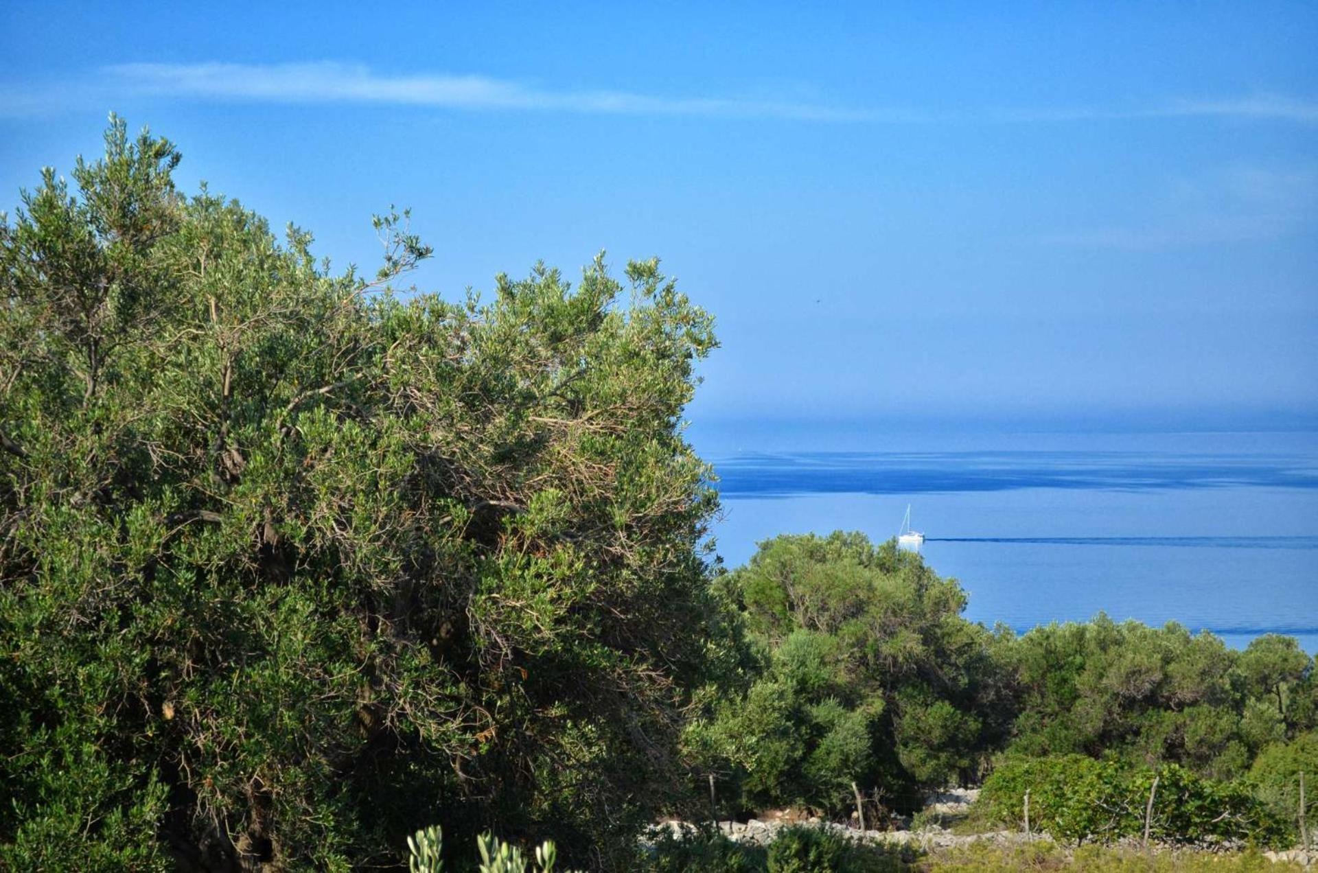 Krusvina