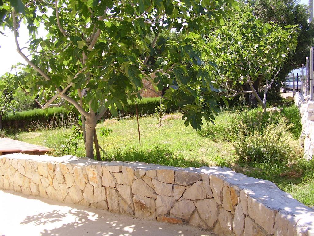 Krusvina