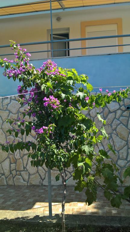 Krusvina * Lun (Pag)