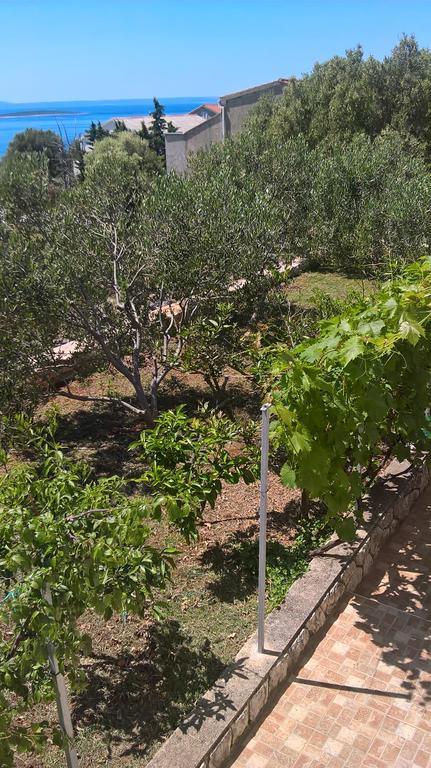 Apartment Krusvina Lun (Pag)