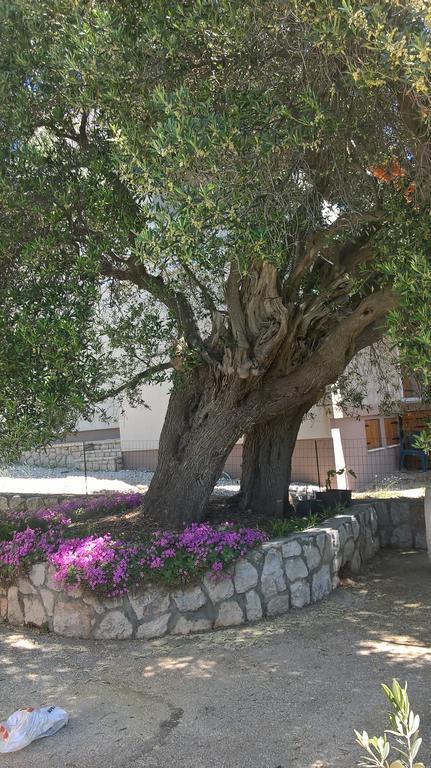 Krusvina Apartment Lun (Pag)