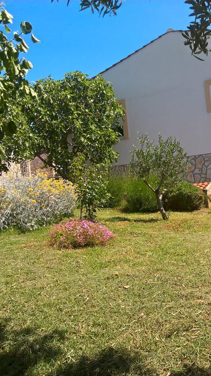 Apartment Krusvina