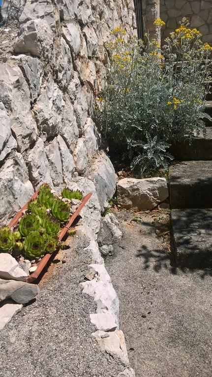 Krusvina Apartment
