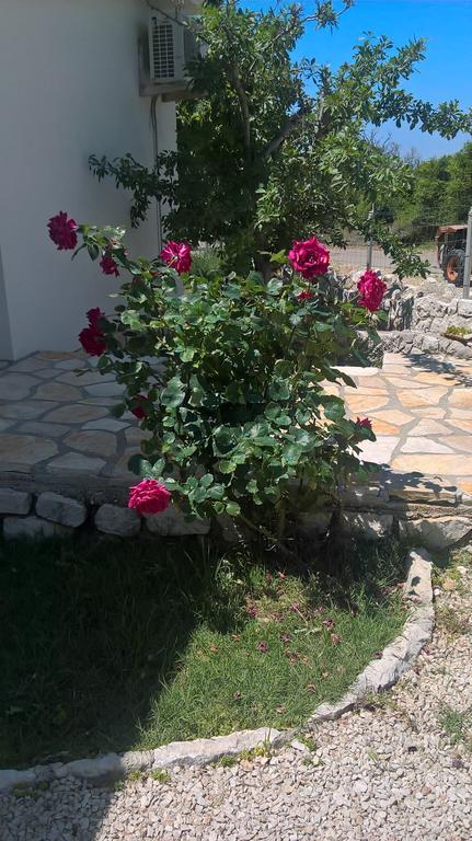 Krusvina